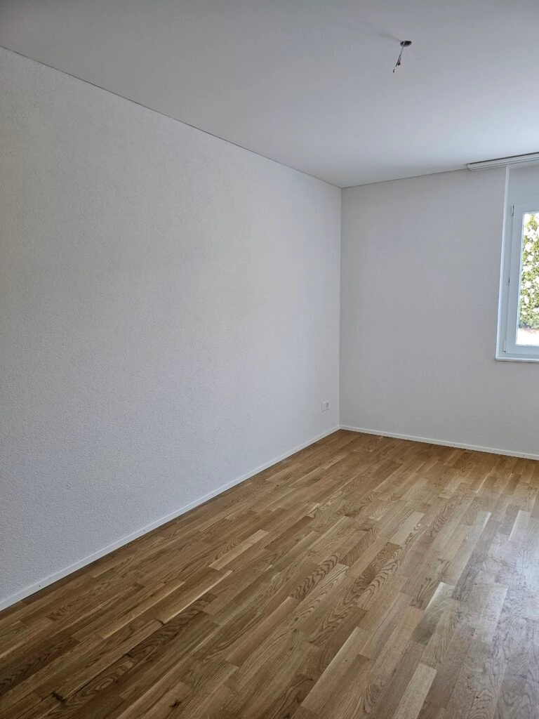 nachher Schimmel nach dem Streichen vermeiden: Ursachen erkennen und dauerhaft vorbeugen